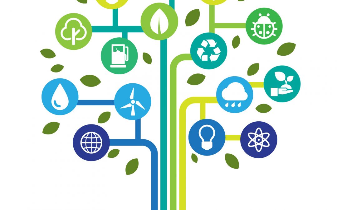 Energize Your Life: Unconventional Tips for Power Management Success